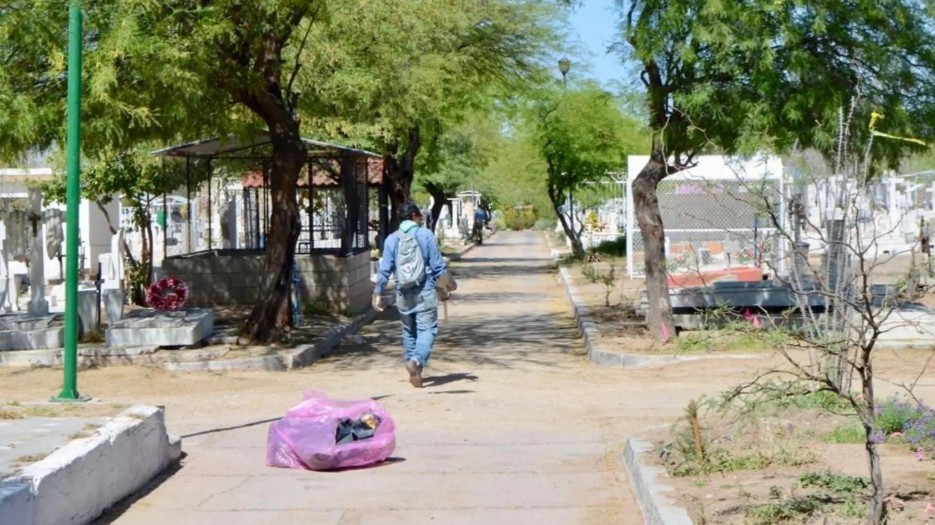 Panteón Yáñez tiene plantas nuevas